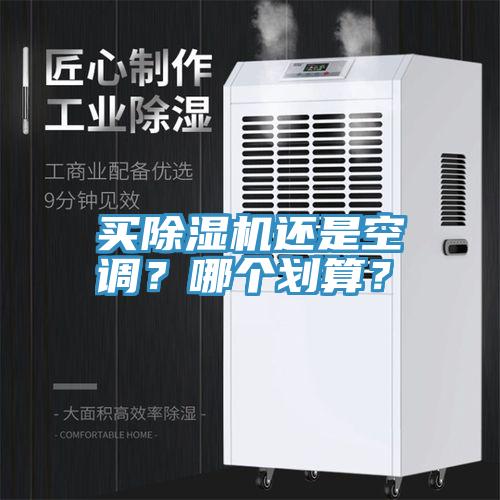 買除濕機還是空調？哪個劃算？