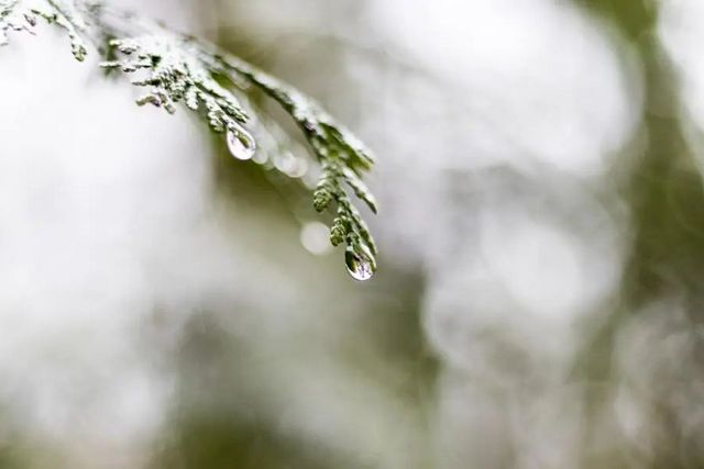 空氣濕度大帶來的危害有哪些，你知道嗎？