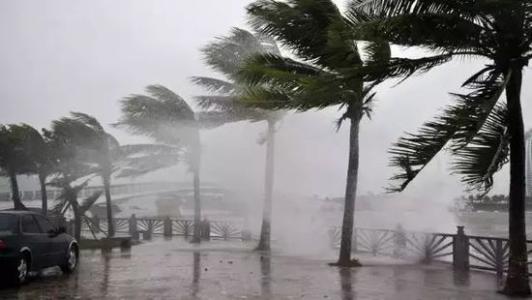 8月臺風(fēng)雨即將來，除濕機還得用起來