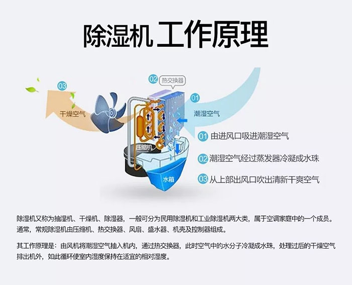 潮濕天氣狗最容易患上這種毛??！三個(gè)注意事項(xiàng)，鏟屎官一定要看看