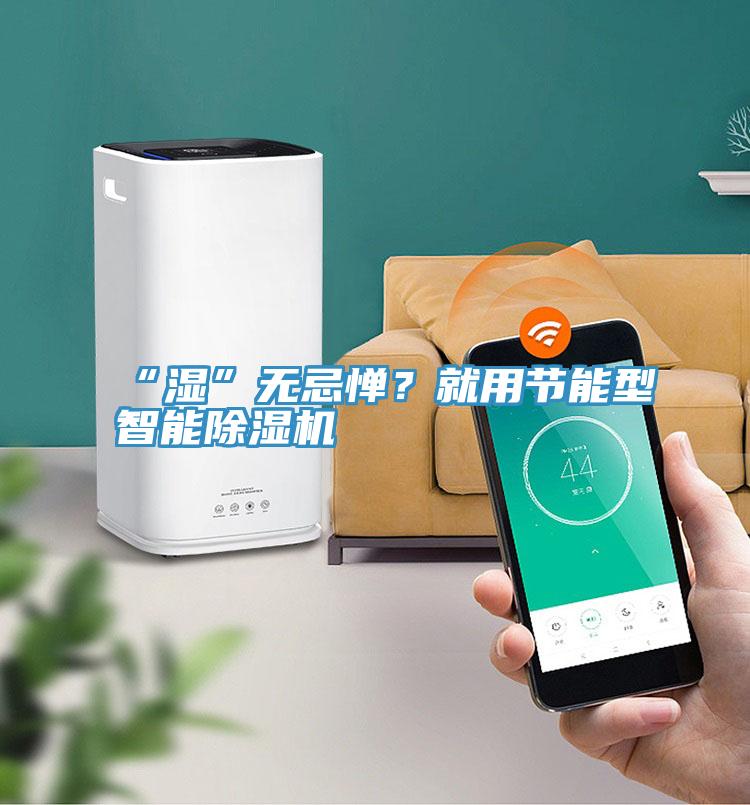 “濕”無忌憚？就用節(jié)能型智能除濕機