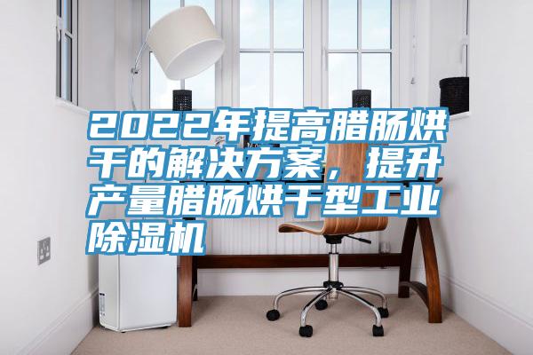 2022年提高臘腸烘干的解決方案，提升產(chǎn)量臘腸烘干型工業(yè)除濕機(jī)