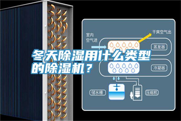 冬天除濕用什么類型的除濕機？