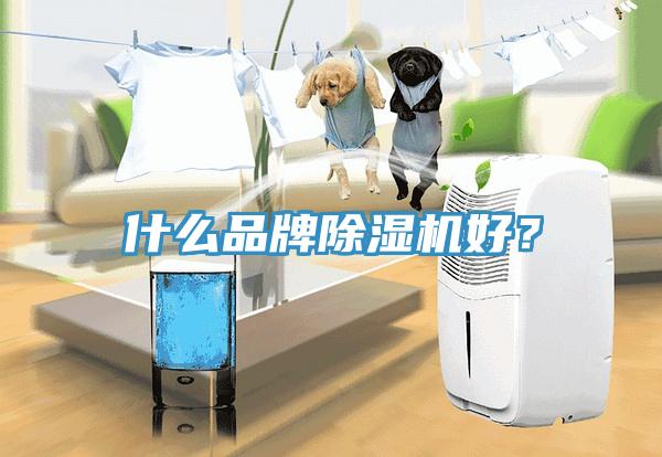 什么品牌除濕機(jī)好？