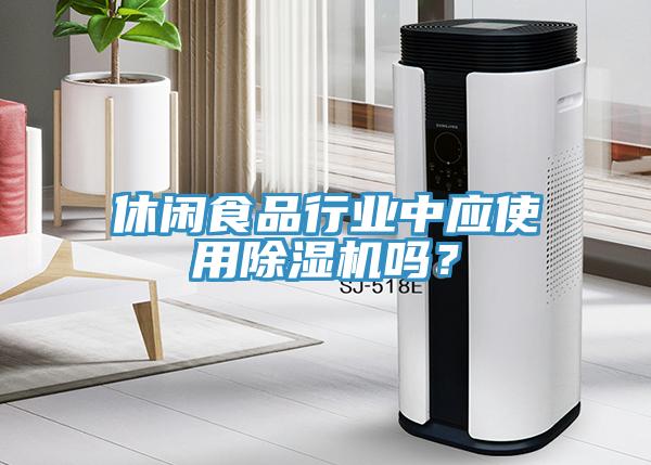 休閑食品行業(yè)中應使用除濕機嗎？