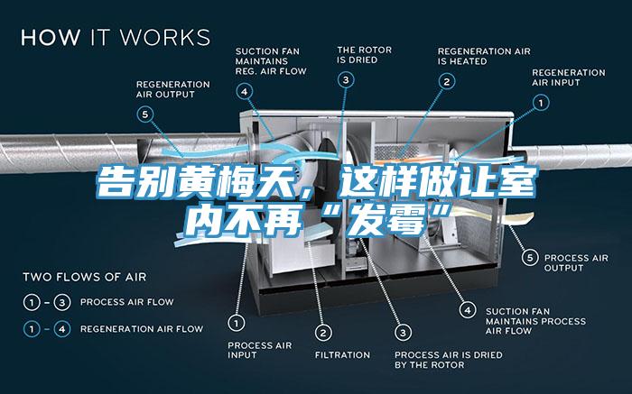 告別黃梅天，這樣做讓室內(nèi)不再“發(fā)霉”