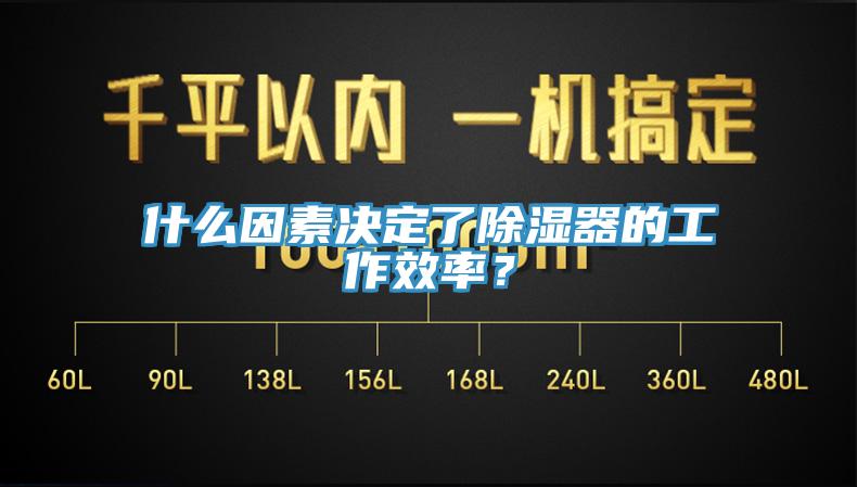 什么因素決定了除濕器的工作效率？