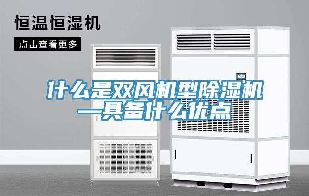 什么是雙風(fēng)機(jī)型除濕機(jī)—具備什么優(yōu)點