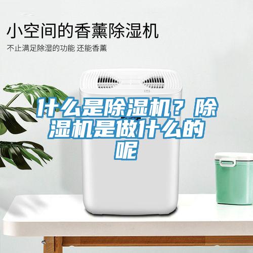 什么是除濕機？除濕機是做什么的呢