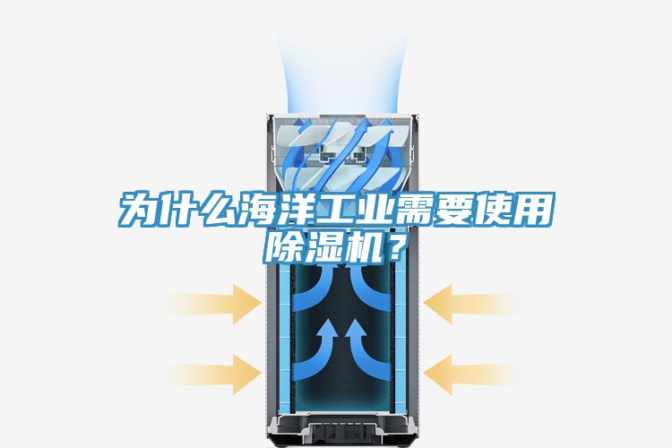 為什么海洋工業(yè)需要使用除濕機(jī)？