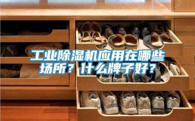 工業(yè)除濕機應用在哪些場所？什么牌子好？