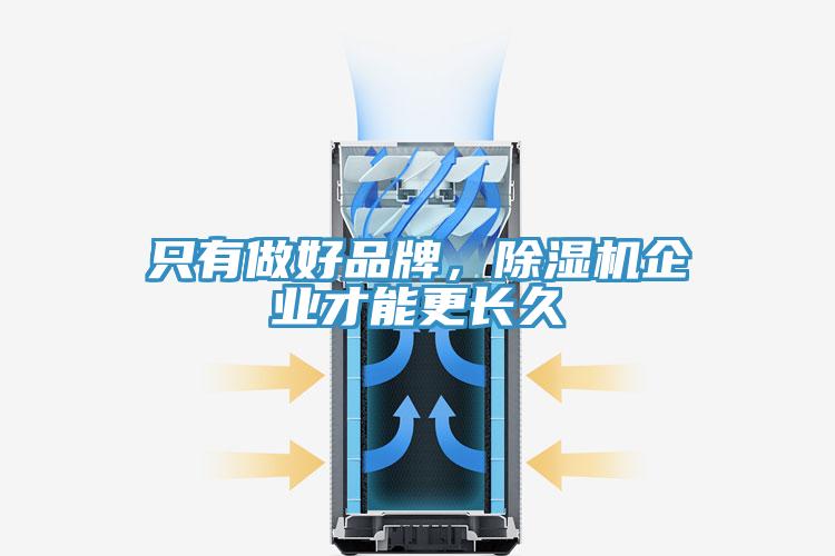 只有做好品牌，除濕機企業(yè)才能更長久