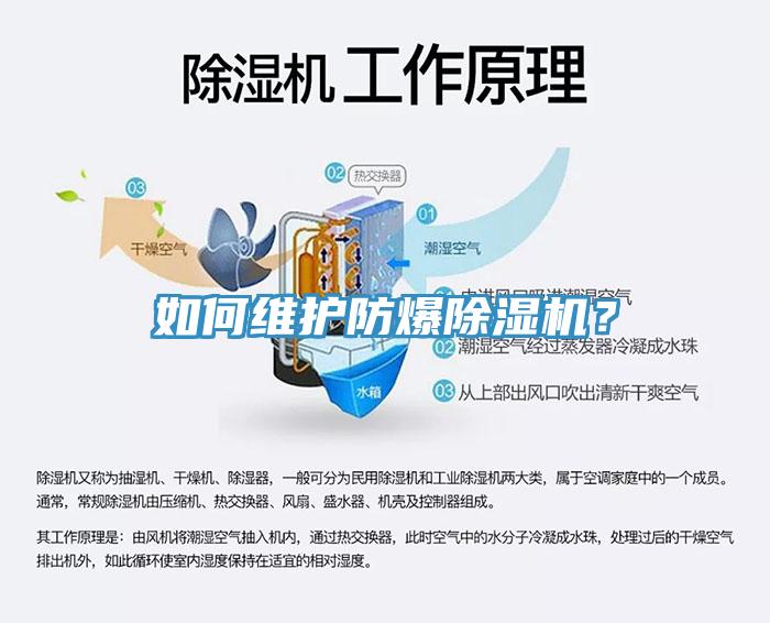 如何維護(hù)防爆除濕機(jī)？