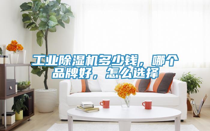 工業(yè)除濕機多少錢，哪個品牌好，怎么選擇