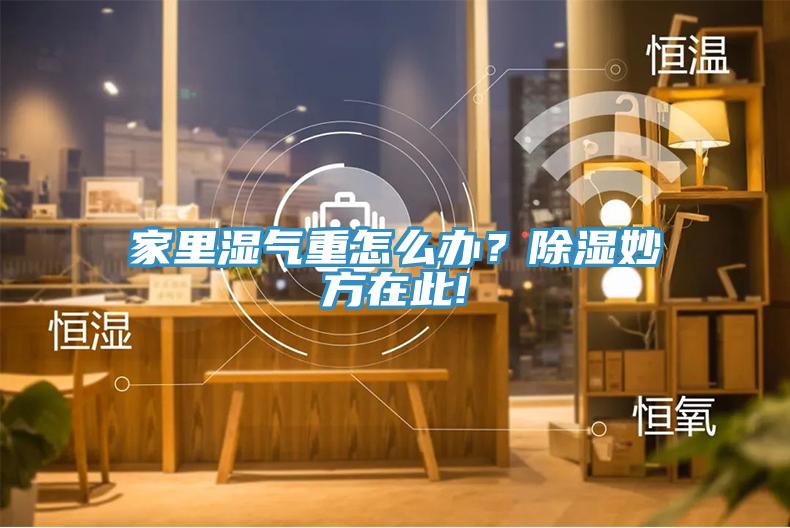 家里濕氣重怎么辦？除濕妙方在此!