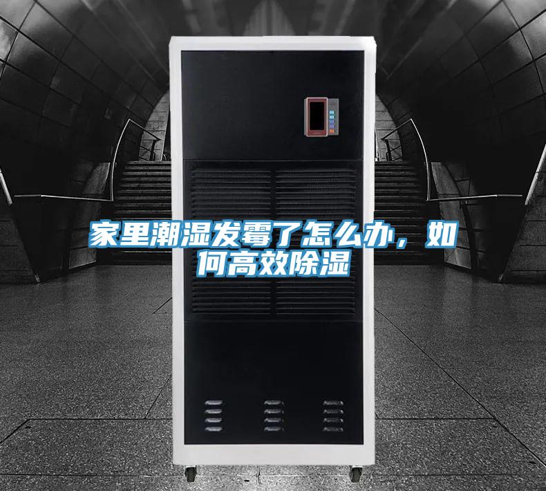 家里潮濕發(fā)霉了怎么辦，如何高效除濕