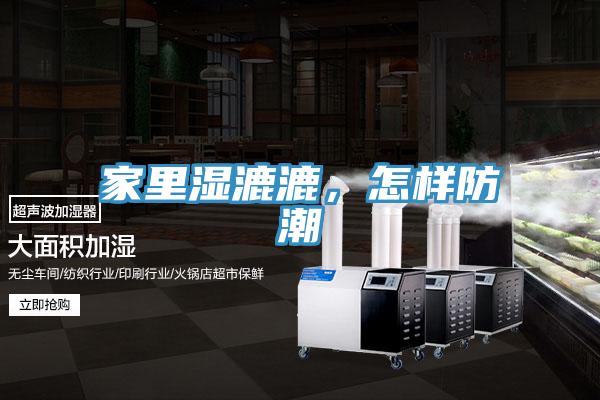 家里濕漉漉，怎樣防潮