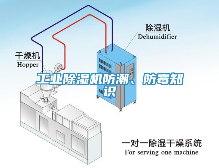 工業(yè)除濕機(jī)防潮、防霉知識