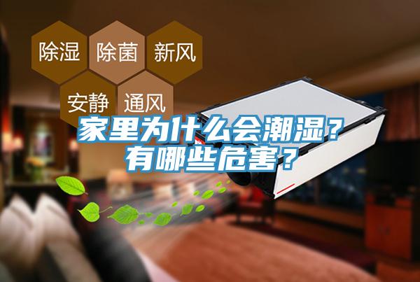 家里為什么會潮濕？有哪些危害？