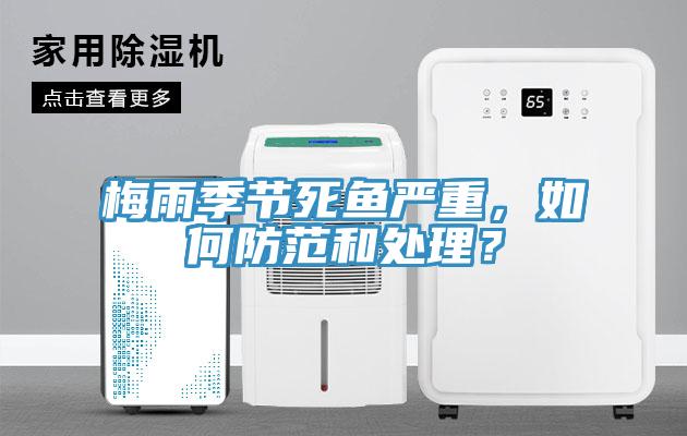 梅雨季節(jié)死魚嚴(yán)重，如何防范和處理？