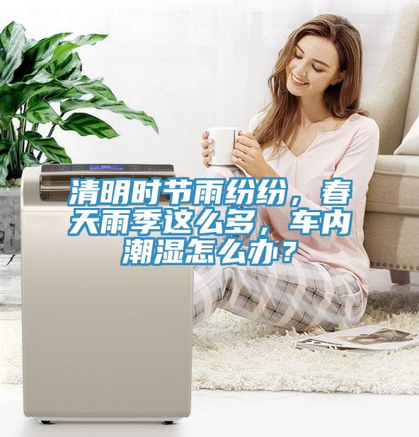清明時節(jié)雨紛紛，春天雨季這么多，車內(nèi)潮濕怎么辦？