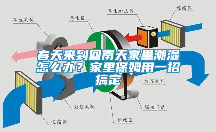 春天來(lái)到回南天家里潮濕怎么辦？家里保姆用一招搞定
