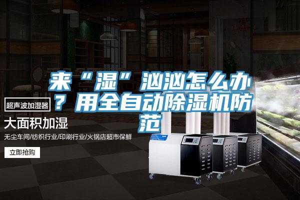 來“濕”洶洶怎么辦？用全自動除濕機防范