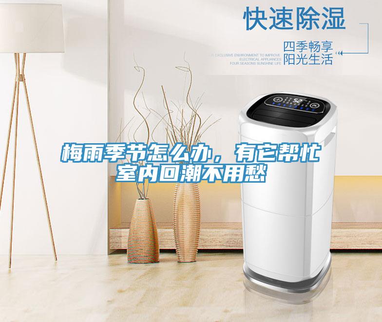 梅雨季節(jié)怎么辦，有它幫忙室內(nèi)回潮不用愁