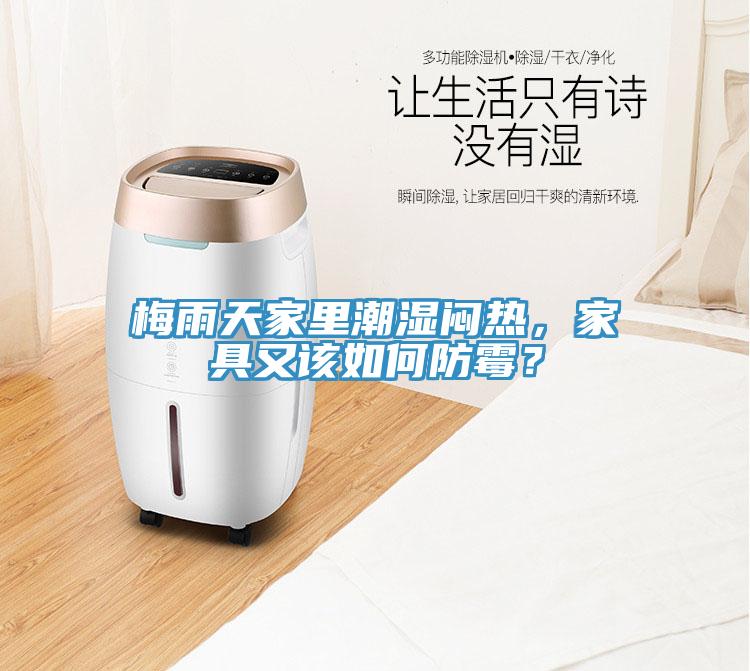 梅雨天家里潮濕悶熱，家具又該如何防霉？