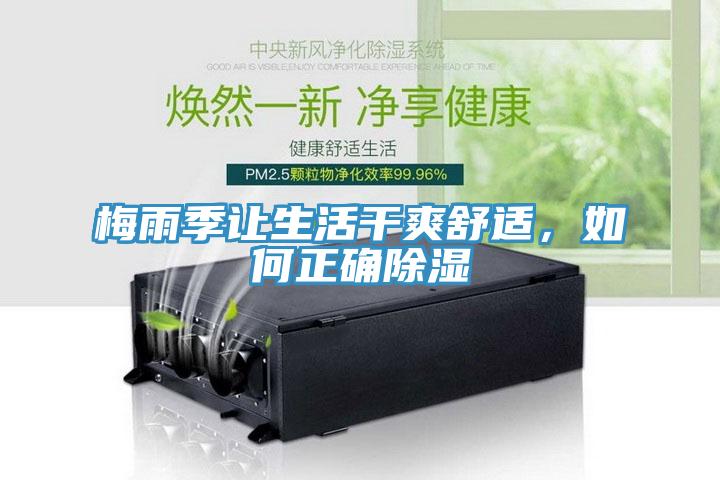 梅雨季讓生活干爽舒適，如何正確除濕