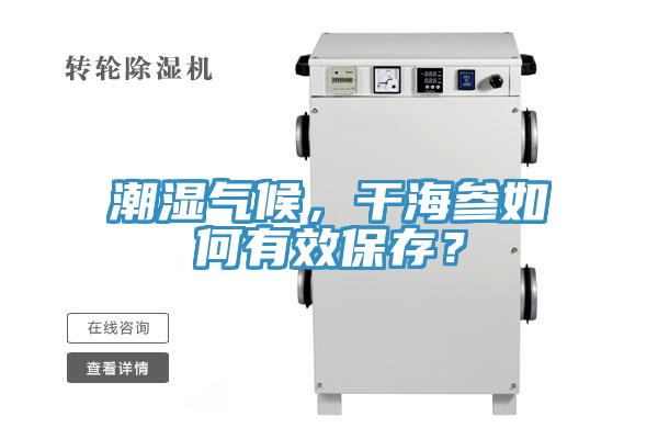 潮濕氣候，干海參如何有效保存？