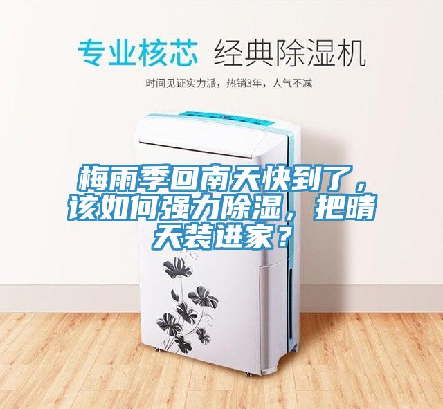 梅雨季回南天快到了，該如何強力除濕，把晴天裝進家？
