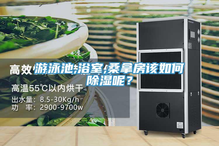 游泳池,浴室,桑拿房該如何除濕呢？