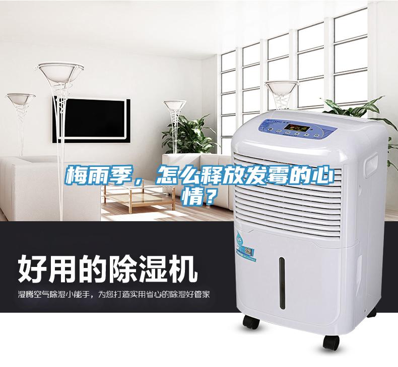 梅雨季，怎么釋放發(fā)霉的心情？
