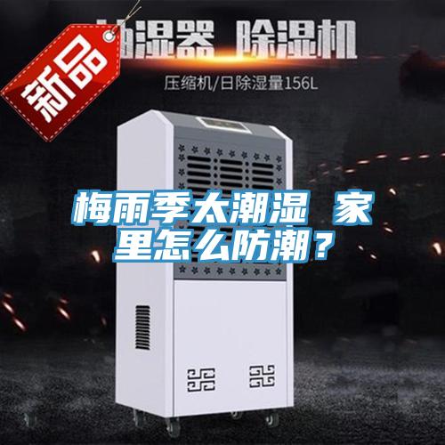 梅雨季太潮濕 家里怎么防潮？