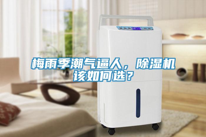 梅雨季潮氣逼人，除濕機該如何選？