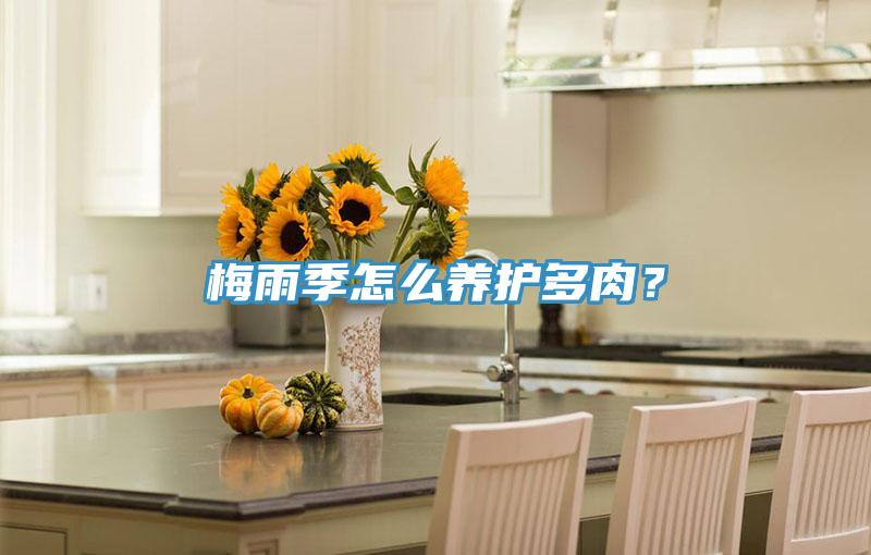 梅雨季怎么養(yǎng)護多肉？