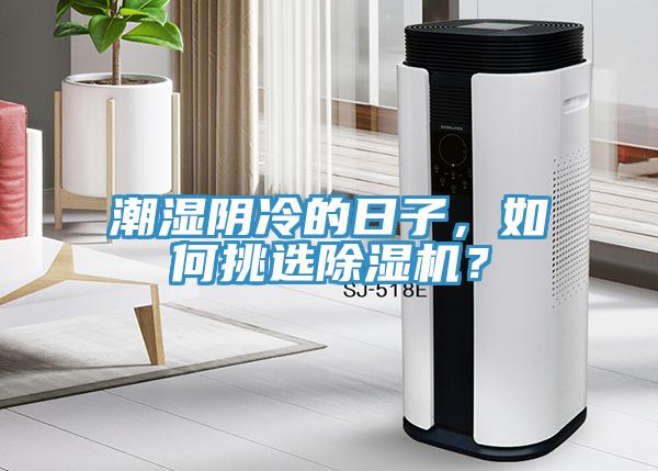潮濕陰冷的日子，如何挑選除濕機(jī)？