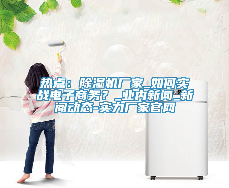 熱點(diǎn)：除濕機(jī)廠家_如何實(shí)戰(zhàn)電子商務(wù)？_業(yè)內(nèi)新聞_新聞動(dòng)態(tài)-實(shí)力廠家官網(wǎng)