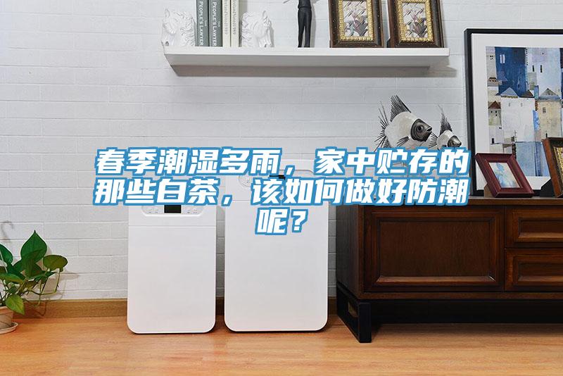 春季潮濕多雨，家中貯存的那些白茶，該如何做好防潮呢？