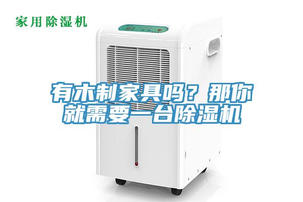 有木制家具嗎？那你就需要一臺(tái)除濕機(jī)