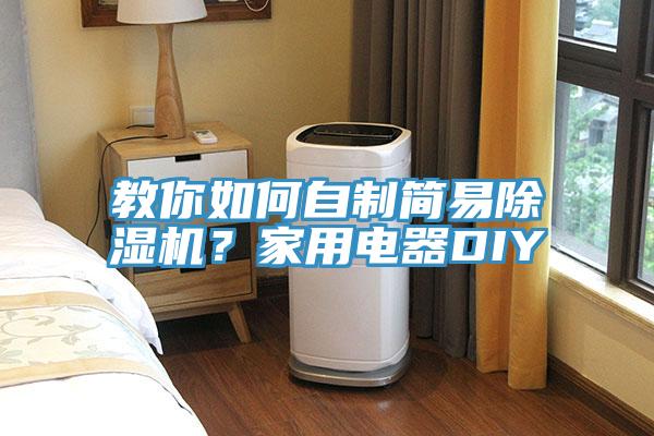 教你如何自制簡易除濕機(jī)？家用電器DIY