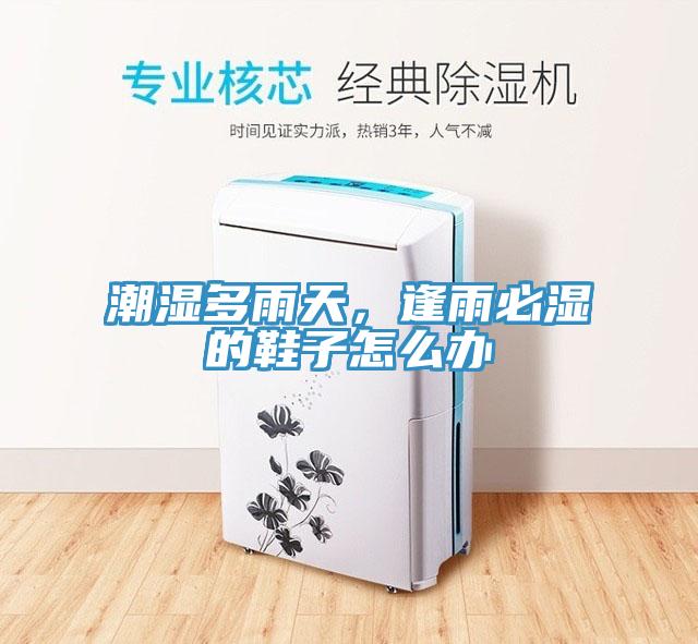 潮濕多雨天，逢雨必濕的鞋子怎么辦