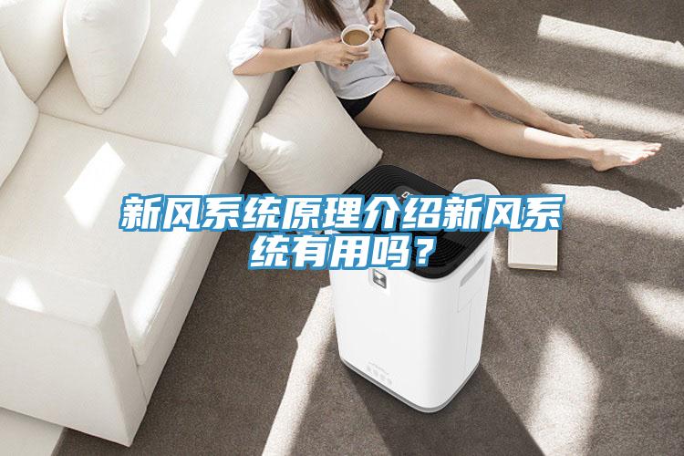 新風(fēng)系統(tǒng)原理介紹新風(fēng)系統(tǒng)有用嗎？