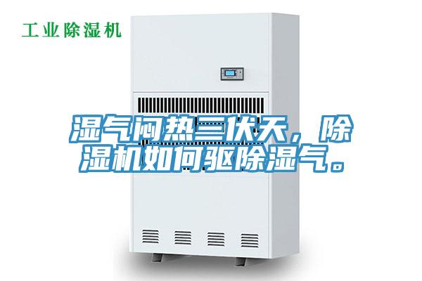 濕氣悶熱三伏天，除濕機(jī)如何驅(qū)除濕氣。