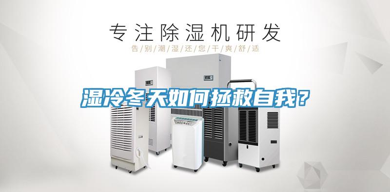 濕冷冬天如何拯救自我？