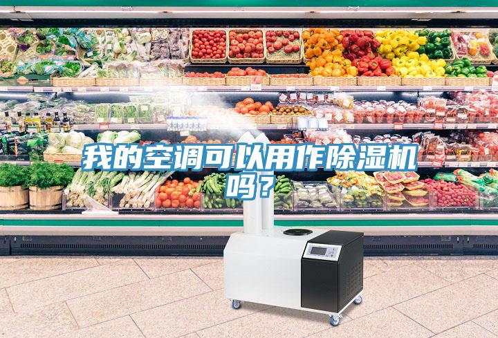 我的空調(diào)可以用作除濕機(jī)嗎？
