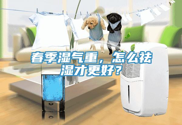 春季濕氣重，怎么祛濕才更好？
