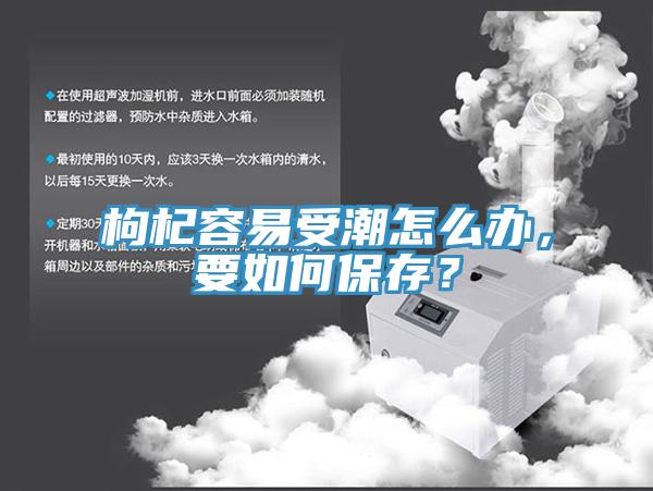 枸杞容易受潮怎么辦，要如何保存？