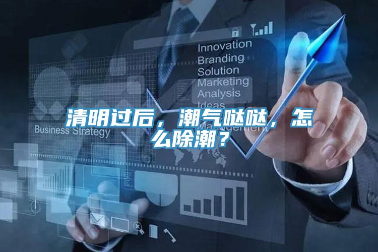 清明過后，潮氣噠噠，怎么除潮？